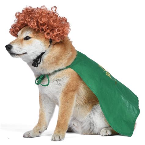 Snapklik.com : Disney For Pets Hocus Pocus Winifred Sanderson Dog Costume