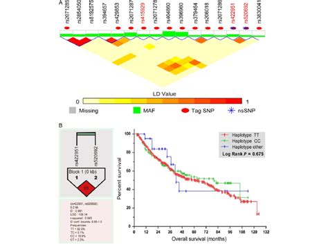 Linkage Disequilibrium Ld And Haplotype Analysis Of Snps A Five