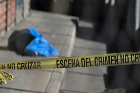 La Onu Alertó Sobre El Impacto Del Narcotráfico Y El Crimen Organizado