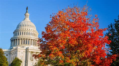 United States Capitol in Capitol Hill - Tours and Activities | Expedia.ca