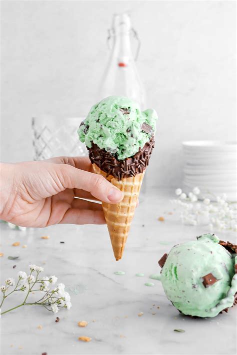 No Cook Mint Chocolate Chip Ice Cream Bakers Table