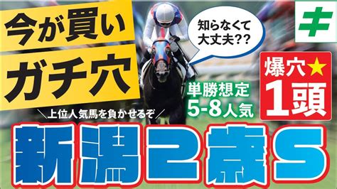 新潟2歳ステークス 2023【穴馬予想】クラシック級の大器！？「あの馬」の衝撃の末脚に心奪われた！ Youtube