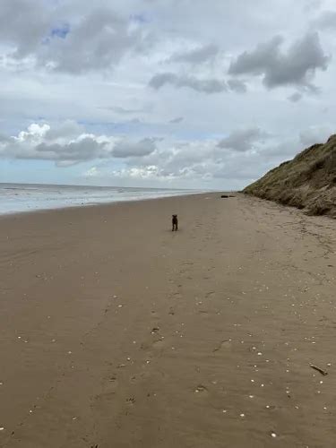 Best Beach Trails in Ainsdale Sands National Nature Reserve | AllTrails