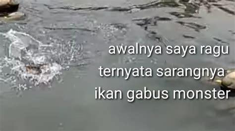 Semua Angler Menyepelekan Spot Ini Ternyata Waoww Hasil Nya Youtube