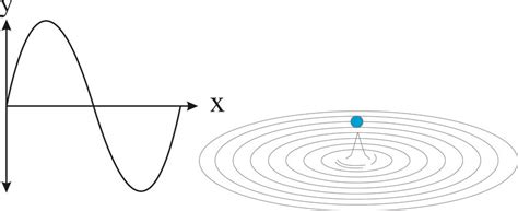 The waves always oscillate in a higher dimension. | Download Scientific Diagram