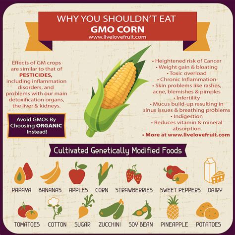 Genetically Modified What A Deeper Look Into Gmo Corn Live Love Fruit