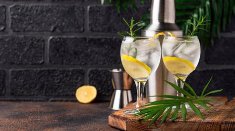 Gin Glasses The Complete Guide How To Choose And Where To Buy