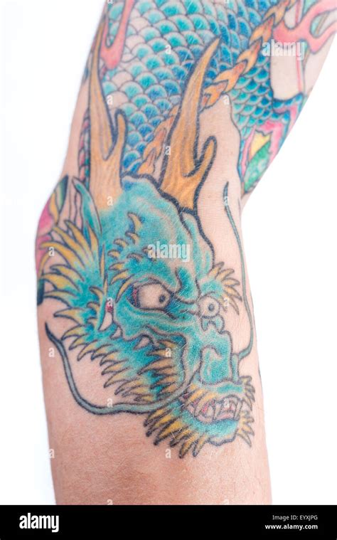 Une Vue D Un Bleu Vert Tatouage De Dragon Dans Le Style Japonais Sur L