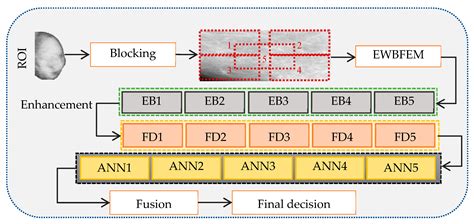 Breast Cancer Detection Using Mammogram Images with Improved Multi-Fractal Dimension Approach