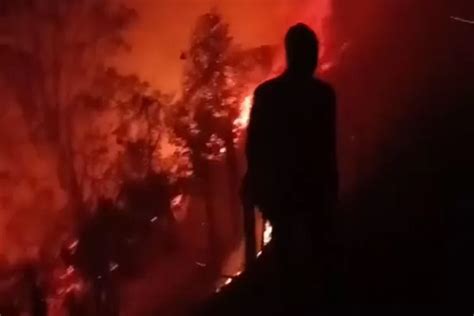 44 Pendaki Gunung Sumbing Dievakuasi Dari Kebakaran Hutan Krjogja