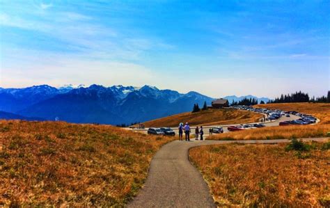 Hiking Hurricane Ridge in Olympic National Park: wildlife and beautiful ...