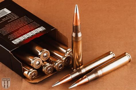 50 Beowulf vs 50 BMG: Caliber Comparison by Ammo.com