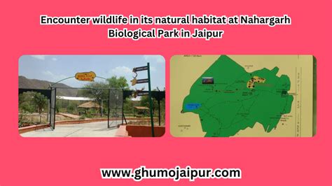 Encounter Wildlife In Its Natural Habitat At Nahargarh Biological Park