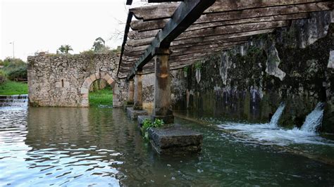 Villaviciosa noticias De total actualidad La foto más hermosa