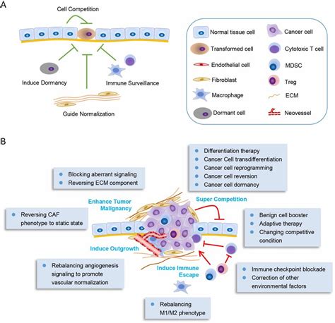 Remodeling Tumor Microenvironment To Transform Cancer Cells A Normal