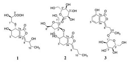 川芎中三个新的丁基苯酞类化合物