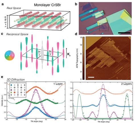 A Schematic Illustration Of Monolayer Crsbr B Optical Image Of