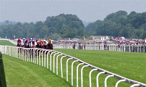 シャガーcが開かれる英アスコット競馬場 ― スポニチ Sponichi Annex ギャンブル