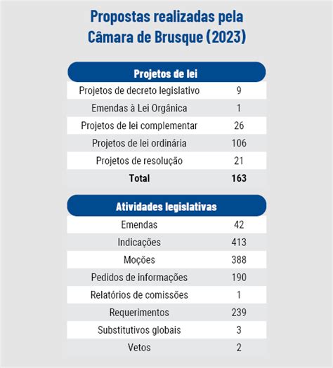 C Mara De Brusque Votou Mais De Projetos Em Confira Balan O