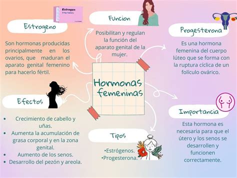 Hormonas Femeninas | @Rbenfe | uDocz