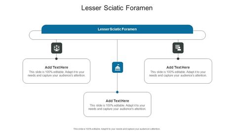 Lesser Sciatic Foramen In Powerpoint And Google Slides Cpb