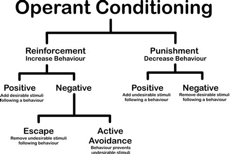 Operant Conditioning Chart