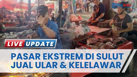 Koleksi Daging Jualan Di Pasar Ekstrim Langowan Minahasa Ada Ular