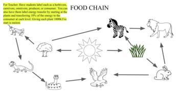 Labeled Wetland Food Web