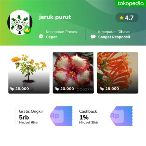 Toko Jeruk Purut Online Produk Lengkap And Harga Terbaik Tokopedia