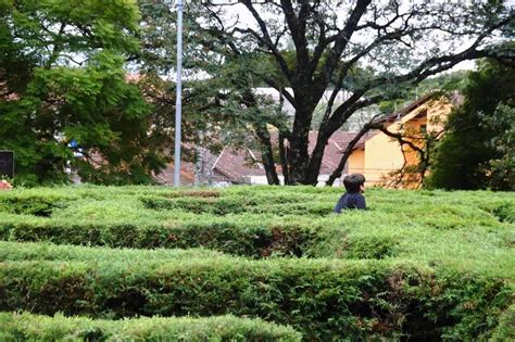 Pra A Das Flores E Labirinto Verde Em Nova Petr Polis Destino Mundo Afora