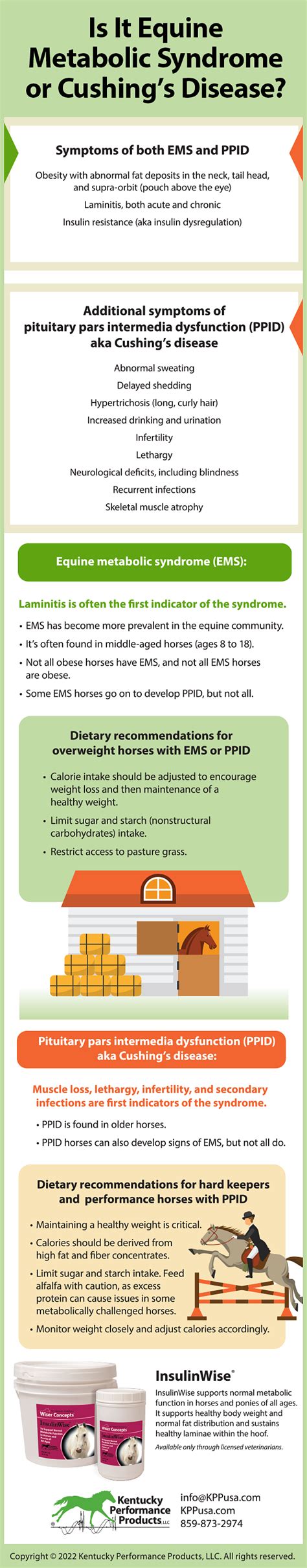 Is It Equine Metabolic Syndrome Or Cushings Disease KPP