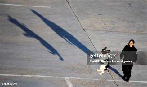 77 Kang Xin Stock Photos, High-Res Pictures, and Images - Getty Images
