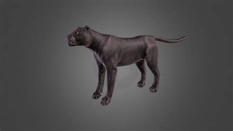 Panther Lowpoly D Model D Model By Rienerys Eec D Sketchfab