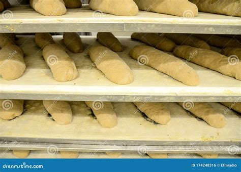 Making Bread In Bakery Uncooked Bread Dough On A Rack Ready For Baking