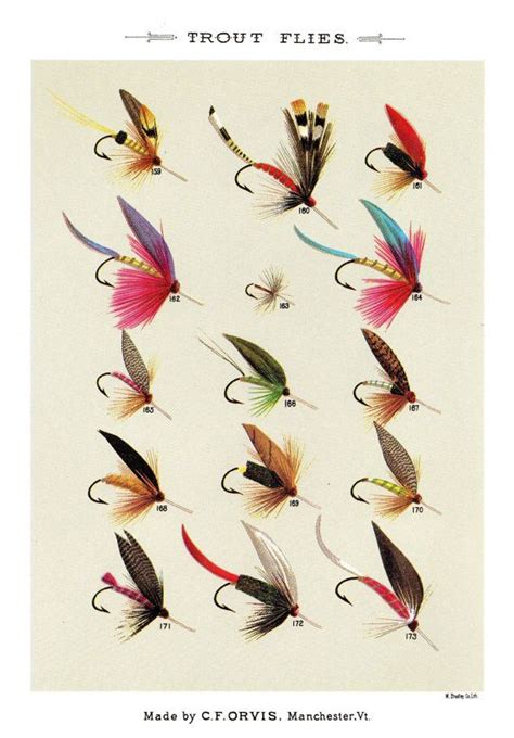 Vintage Fly Fishing Print Trout Flies Print Beach House Decor Fly