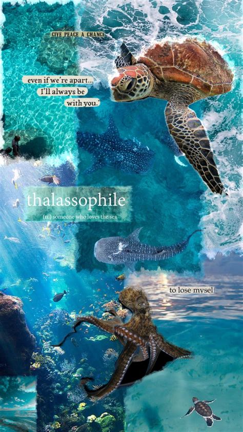 10 endangered ocean species and marine animals – Artofit