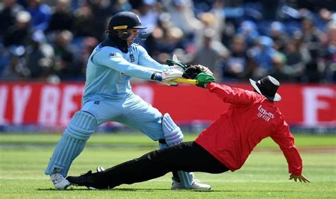 Jason Roy Roy Knocks Over Umpire World Cup Joel Wilson England