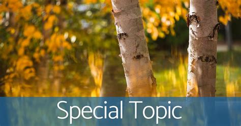 Special Topics Birch Hill Investment Advisors Llc Boston Ma