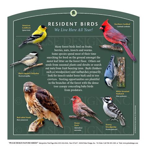 Pdns Bird Conservation Migratory Songbird Nesting Habitat Id Guide