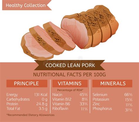 Healthy Collection MEAT stock vector. Illustration of composition - 93519636