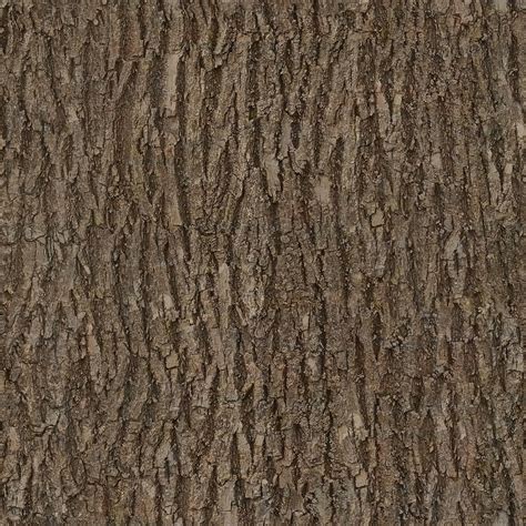 Royalty Free Photo Bark Wood Tree Seamless Texture Albedo Pickpik