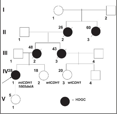 Figure From Hereditary Diffuse Gastric Cancer Genetic Aspects And