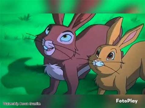 Watership Down 1999 AMV Tonight YouTube