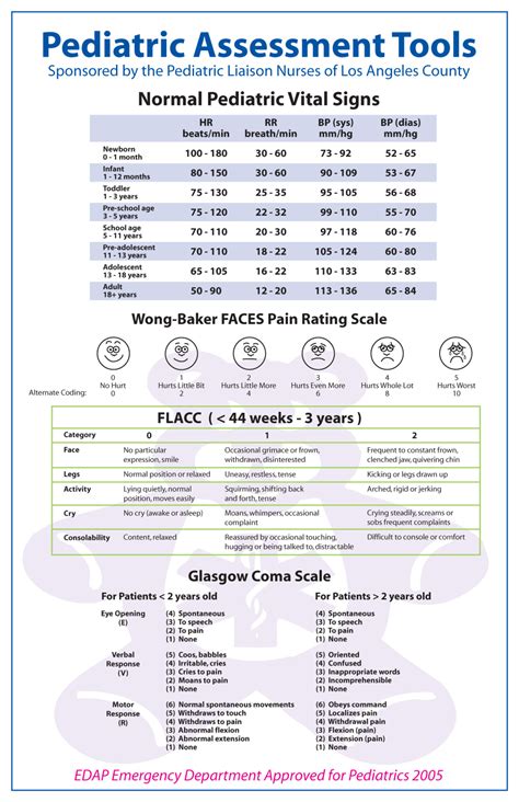 Printable Paediatric Assessment Form Printable Forms Free Online