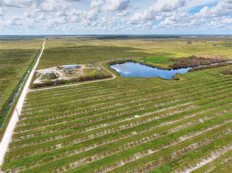 46031 Neal Road, Punta Gorda, FL 33982 - Neal Road Grove, Punta Gorda