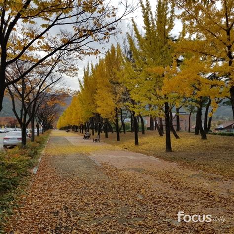 3일 대구·경북 쌀쌀한 아침낮 최고기온 7~12도 포커스데일리