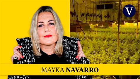 La producción de marihuana se industrializa en toda Catalunya I Mayka