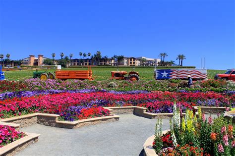 Postcard from the Flower Fields - The Atlas Heart