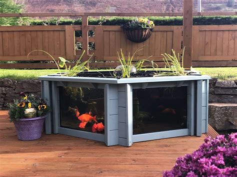 Lily Clear View Garden Aquarium Raised Fish Pond With Large Windows EBay