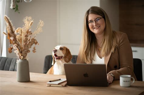 Bürohund So klappt es mit dem Hund im Büro Tipps Tricks